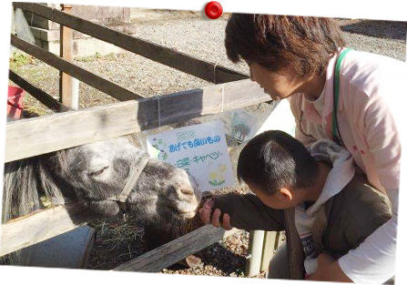 まほうの木 課外活動