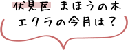伏見区 まほうの木エクラの今月は？